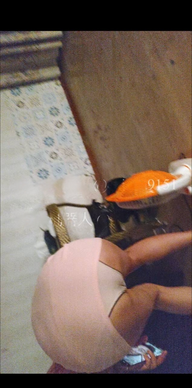 新都区新加坡商业街，一段时间没